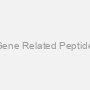 Human Calcitonin Gene Related Peptide (CGRP) ELISA Kit